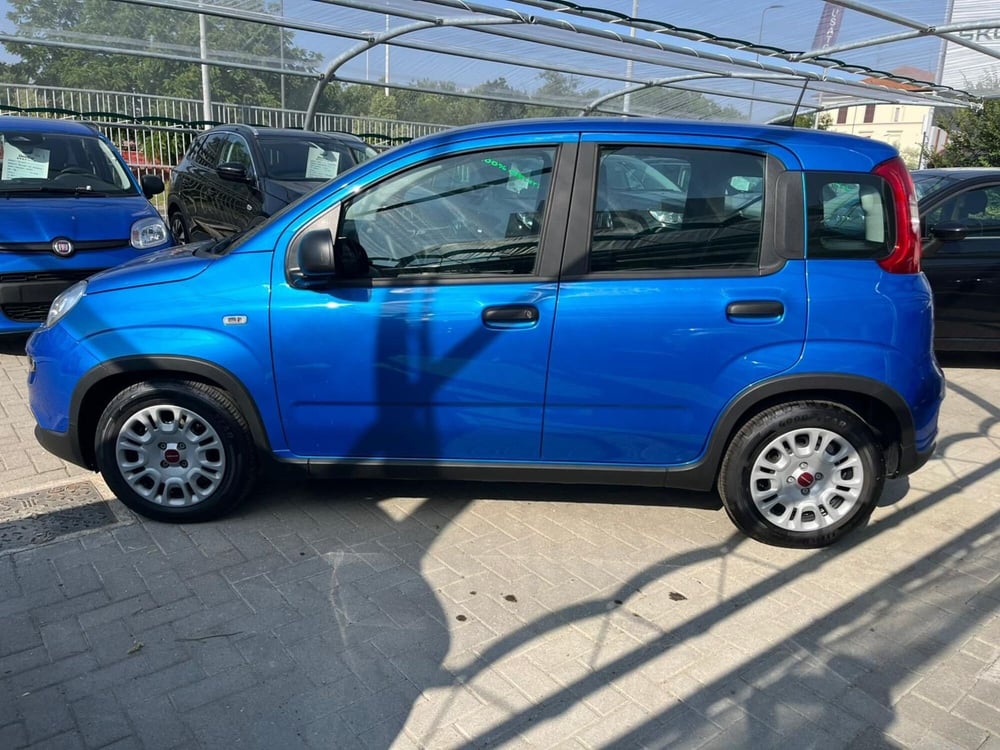 Fiat Panda Cross usata a Milano (4)