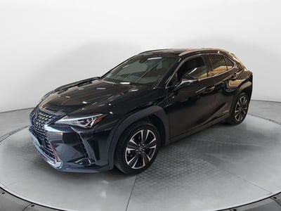Lexus UX Hybrid 4WD Premium del 2020 usata a San Lazzaro di Savena