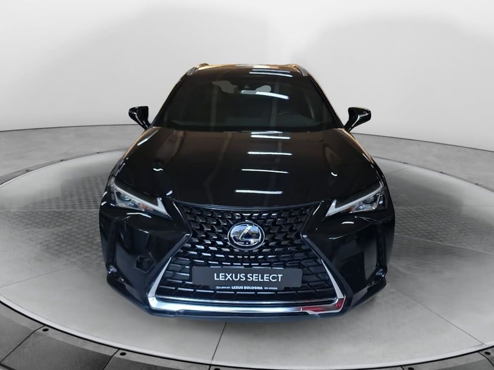 Lexus UX usata a Bologna (2)