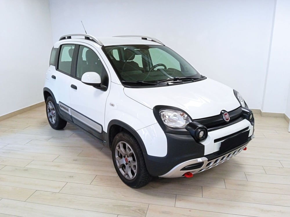 Fiat Panda Cross usata a Torino