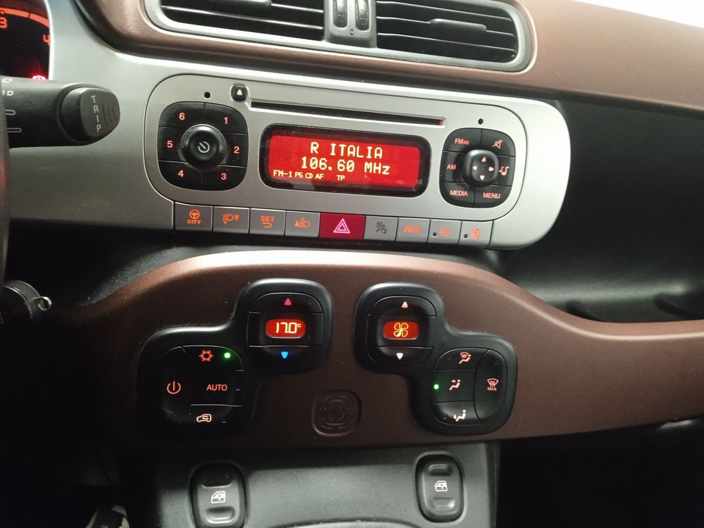 Fiat Panda Cross usata a Torino (11)