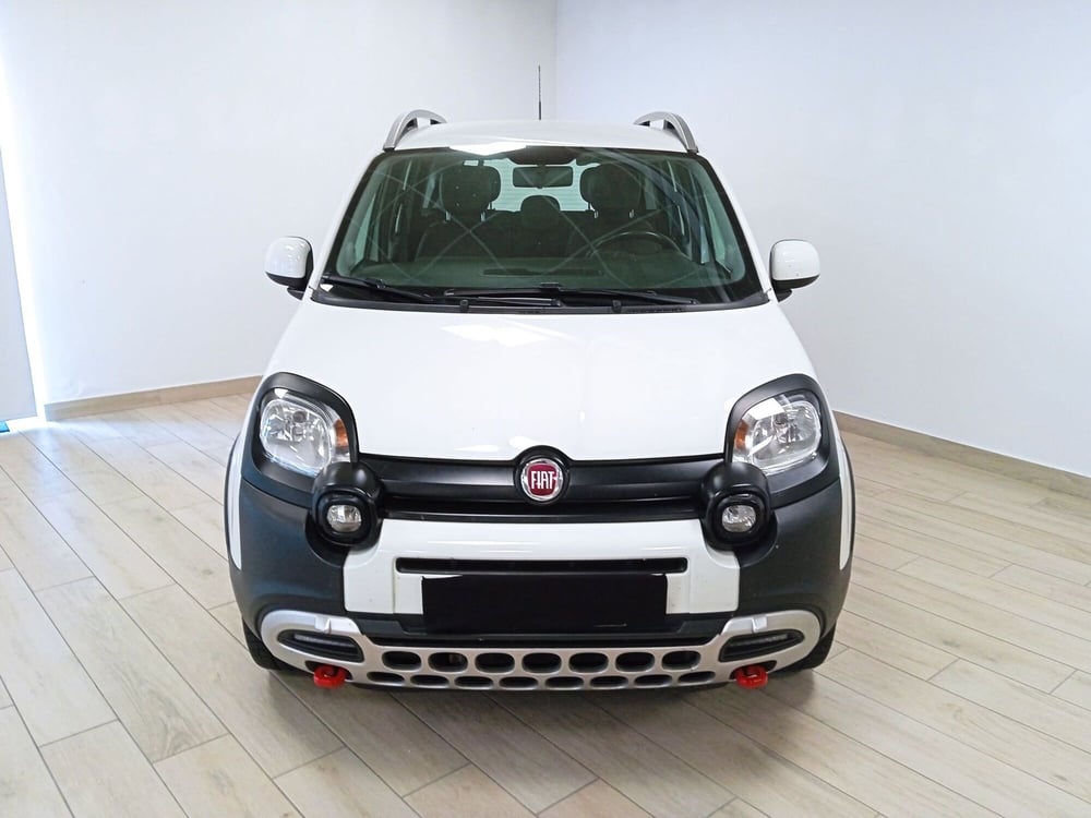 Fiat Panda Cross usata a Torino (2)