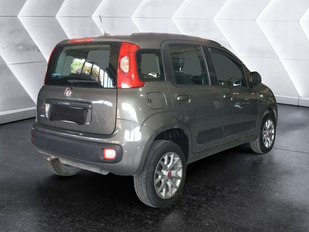 Fiat Panda usata a Caserta (5)
