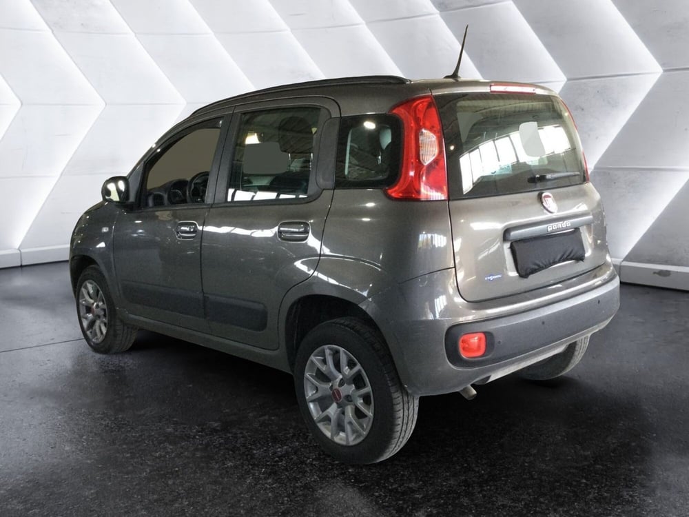 Fiat Panda usata a Caserta (7)