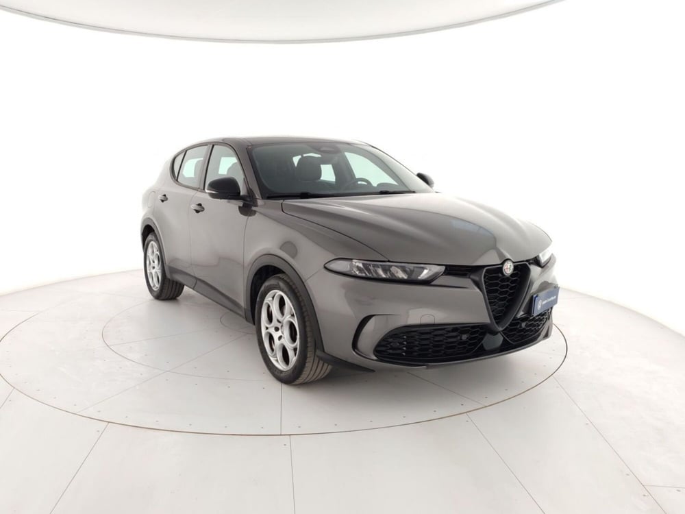 Alfa Romeo Tonale usata a Massa-Carrara (4)