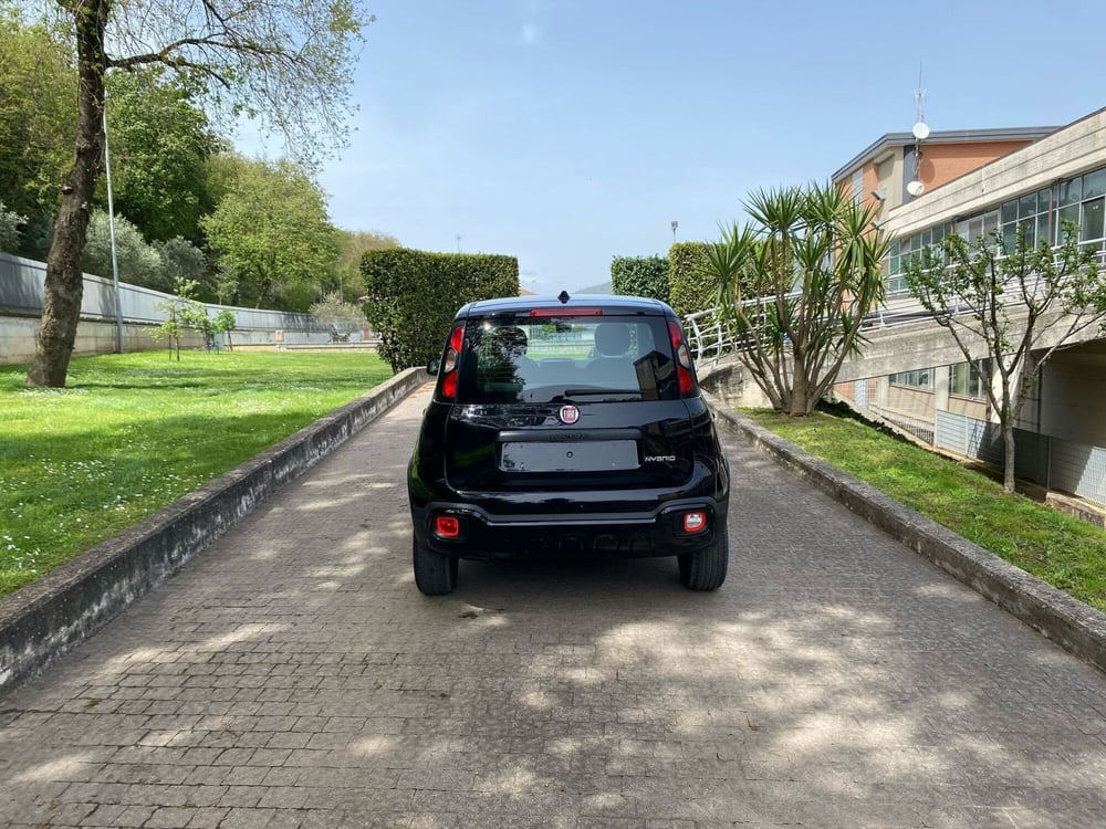 Fiat Panda usata a Salerno (12)