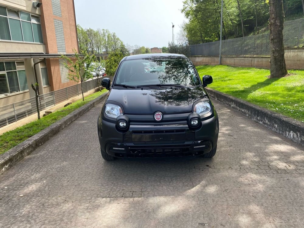Fiat Panda usata a Salerno (9)