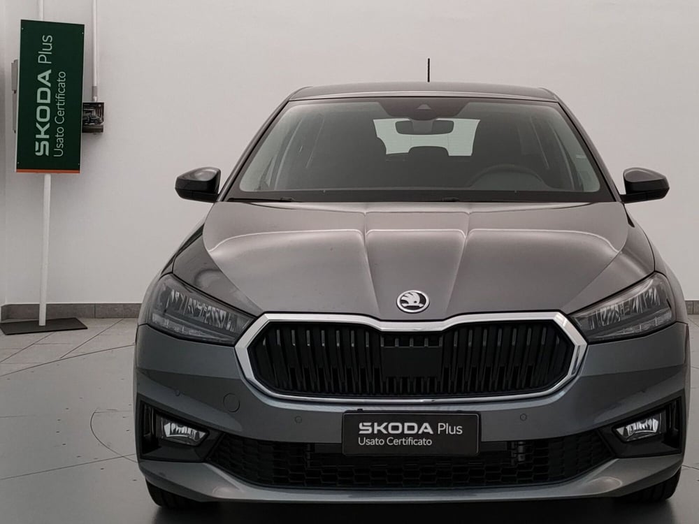 Skoda Fabia usata a Varese (2)