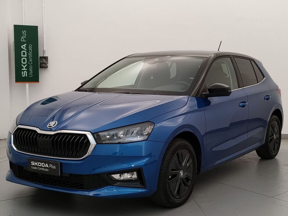Skoda Fabia usata a Varese
