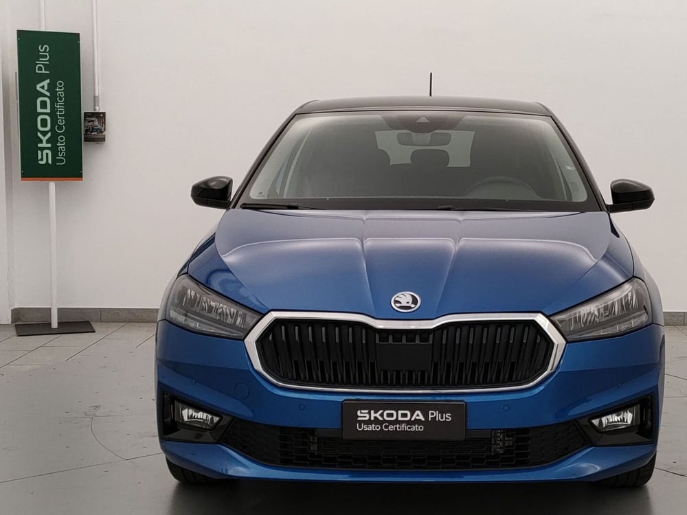 Skoda Fabia usata a Varese (2)