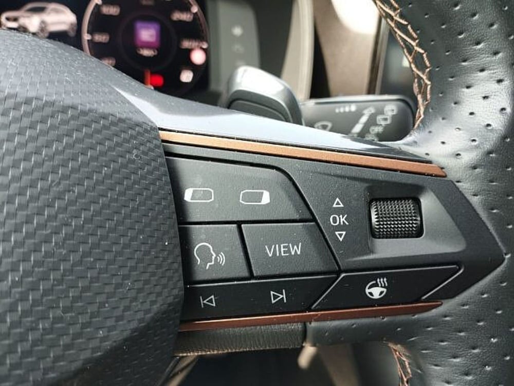 Cupra Formentor usata a Vicenza (11)