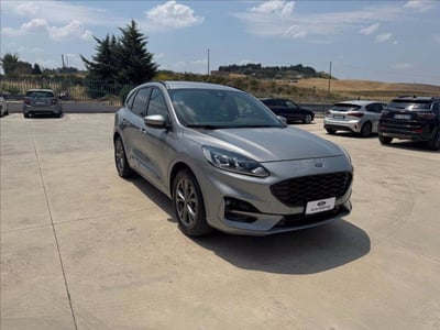 Ford Kuga 1.5 EcoBlue 120 CV 2WD ST-Line del 2022 usata a Matera