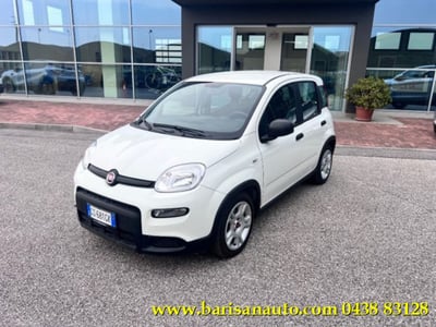 Fiat Panda 1.0 firefly hybrid s&amp;s 70cv 5p.ti del 2024 usata a Pieve di Soligo