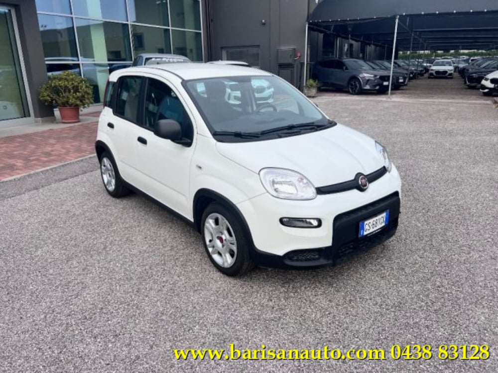 Fiat Panda usata a Treviso (2)