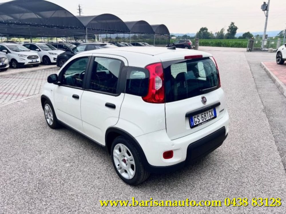 Fiat Panda usata a Treviso (4)
