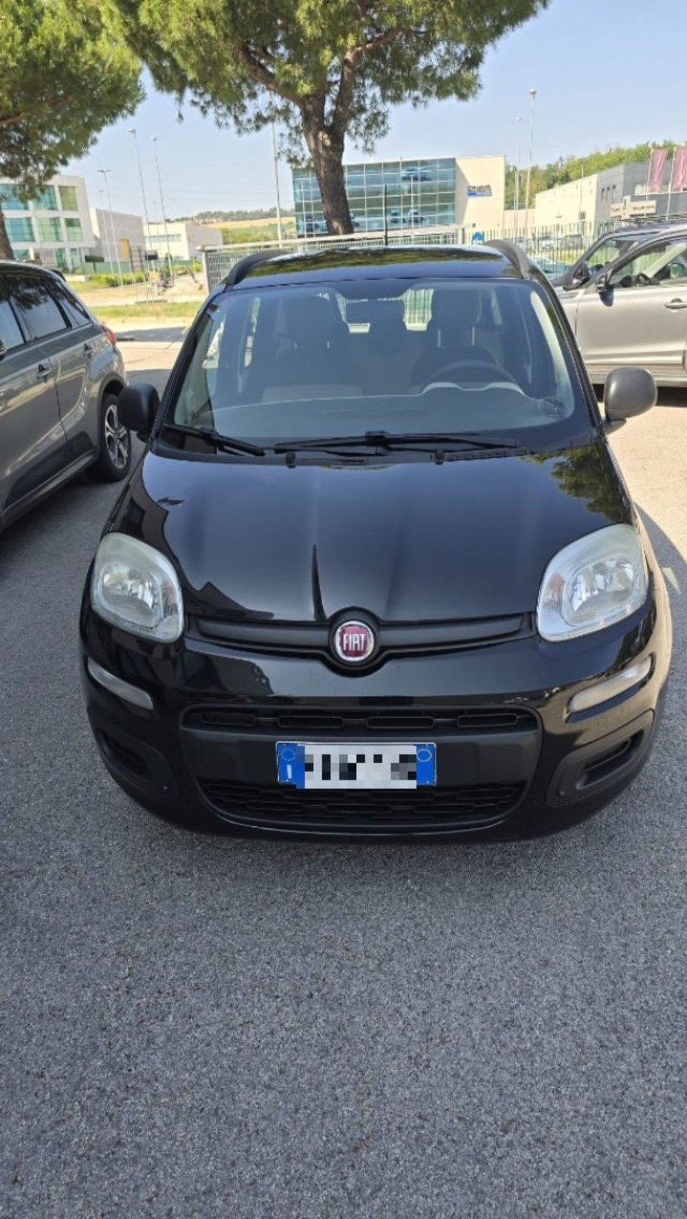 Fiat Panda usata a Macerata (2)