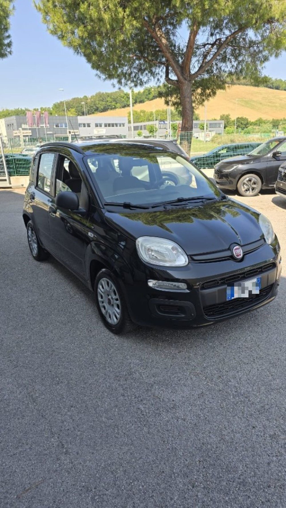 Fiat Panda usata a Macerata (3)