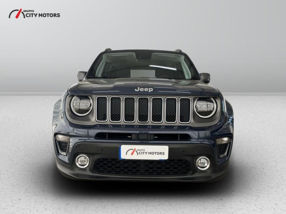 Jeep Renegade usata a Monza e Brianza (2)