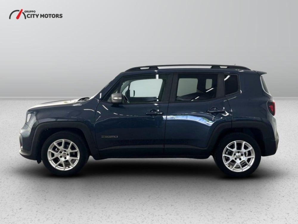 Jeep Renegade usata a Monza e Brianza (3)