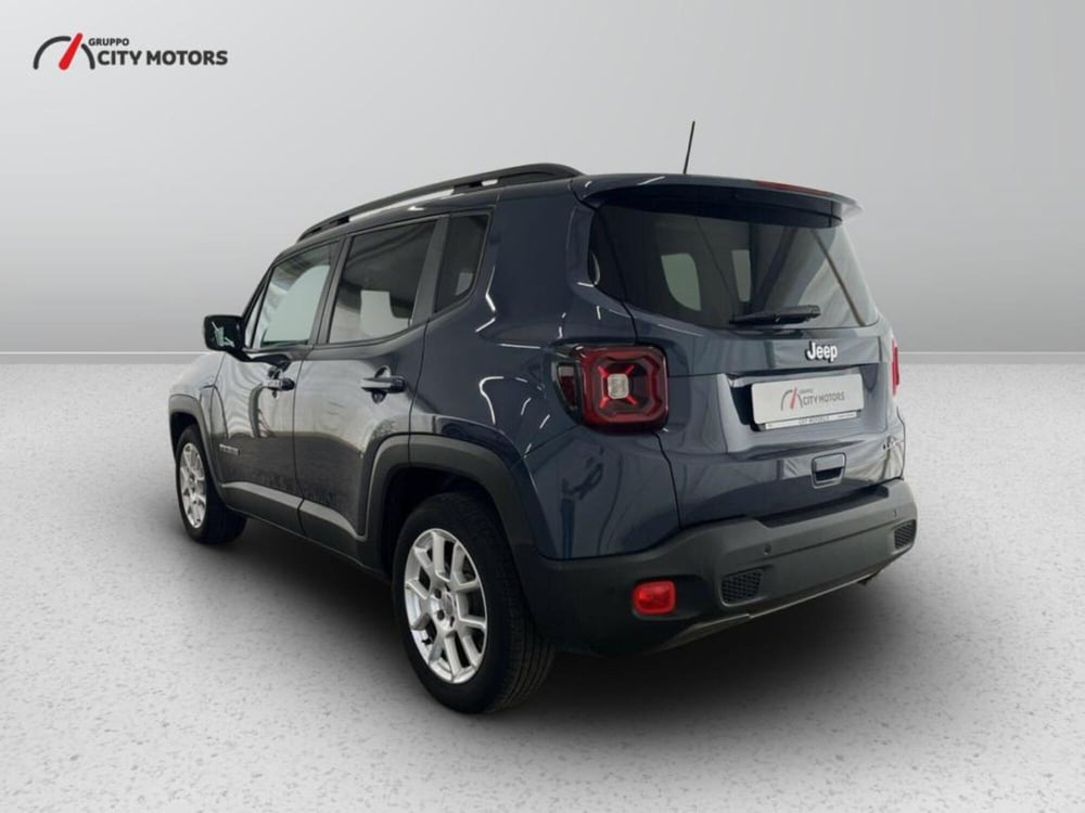 Jeep Renegade usata a Monza e Brianza (4)
