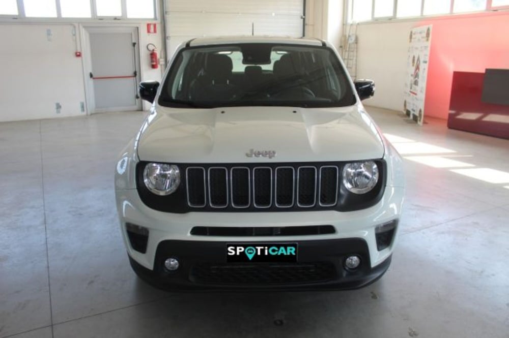 Jeep Renegade usata a Terni (2)