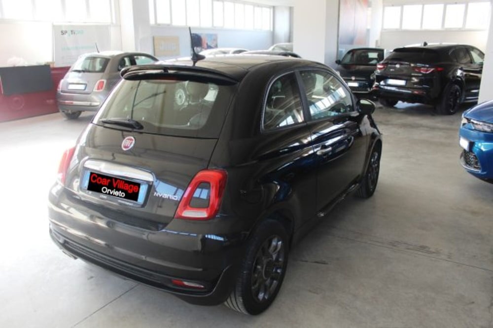 Fiat 500 usata a Terni (4)