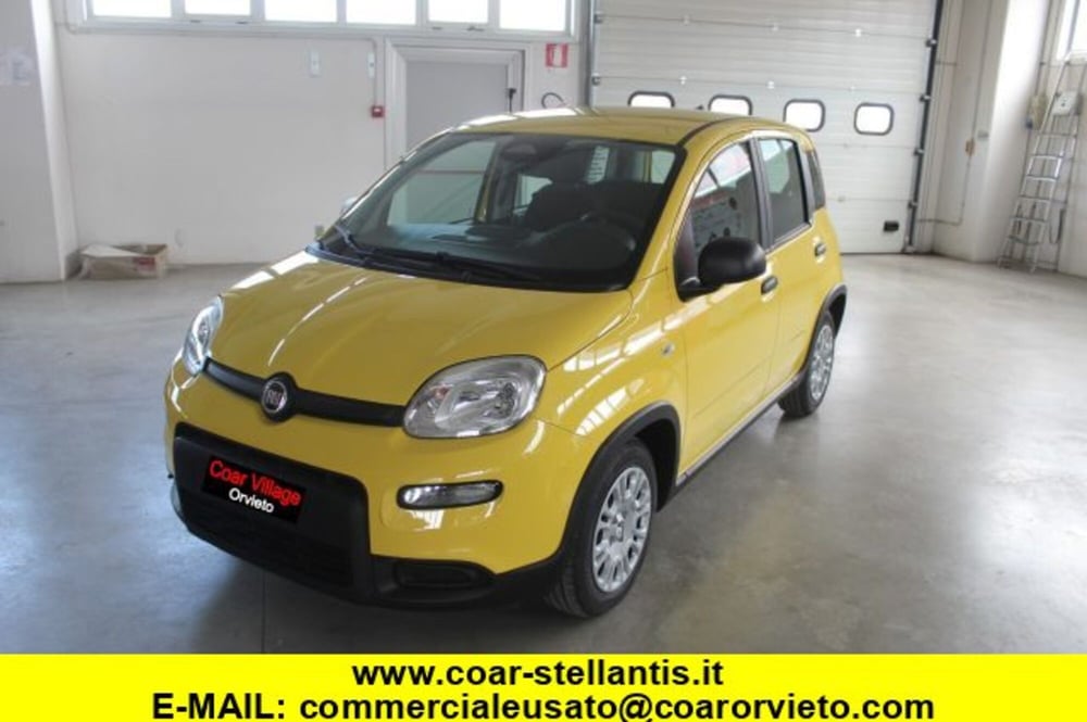 Fiat Panda nuova a Terni