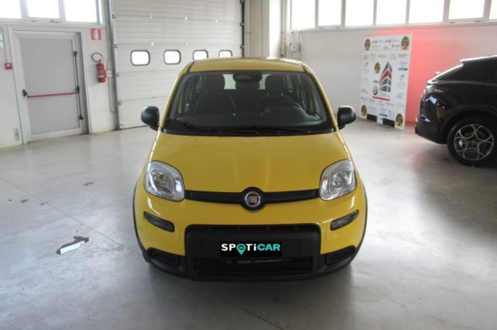 Fiat Panda nuova a Terni (2)