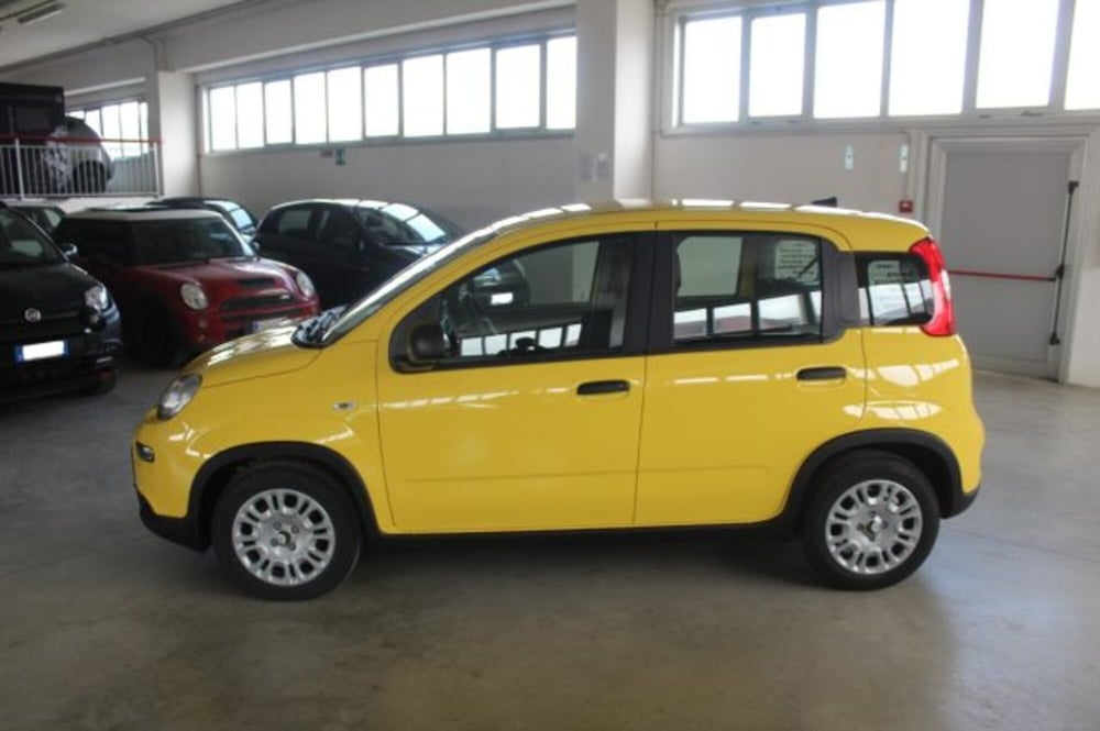 Fiat Panda nuova a Terni (3)
