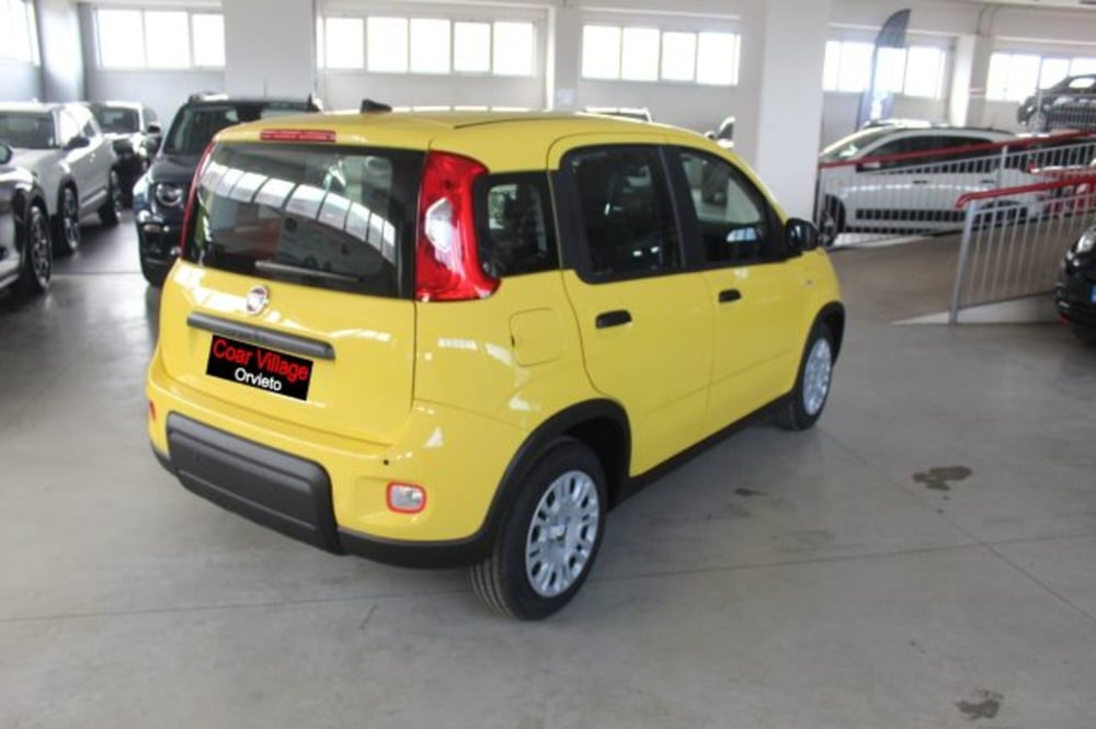 Fiat Panda nuova a Terni (4)