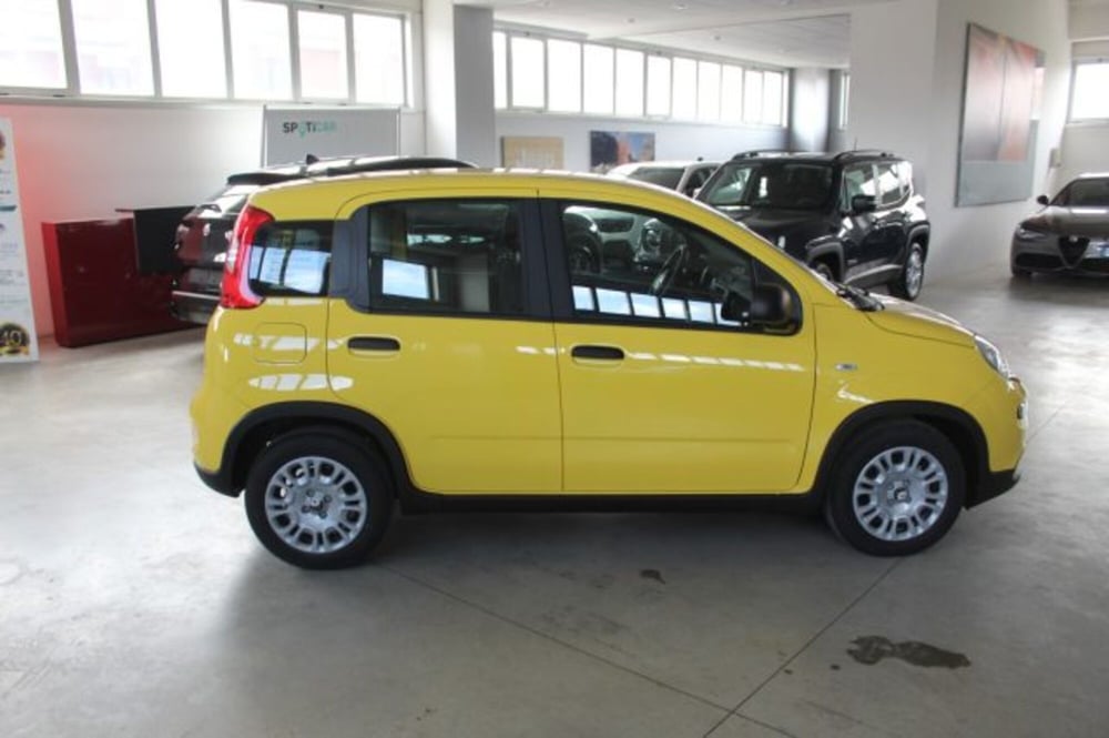 Fiat Panda nuova a Terni (6)