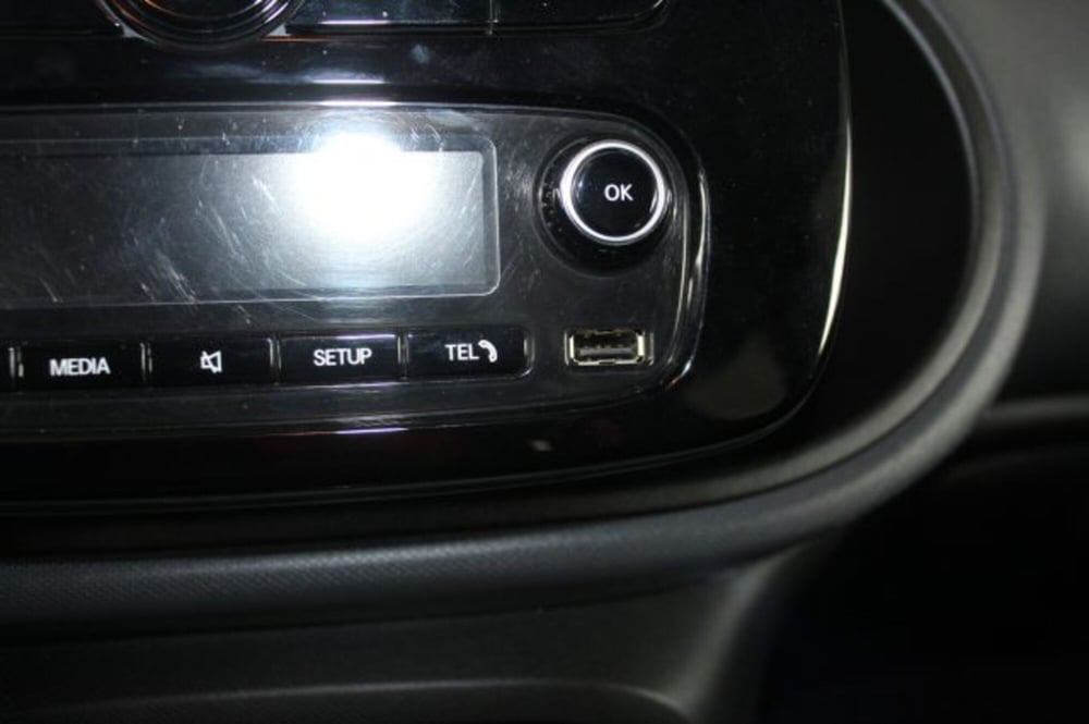 smart forfour usata a Terni (14)