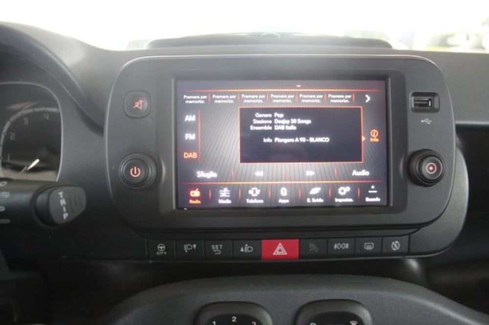 Fiat Panda Cross usata a Terni (13)