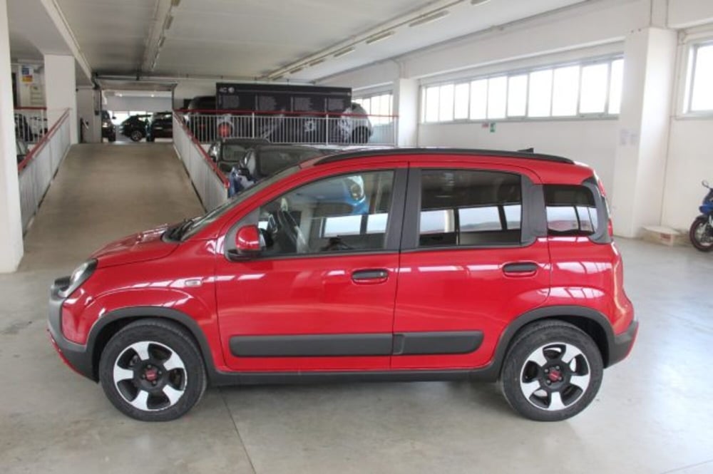 Fiat Panda Cross usata a Terni (3)