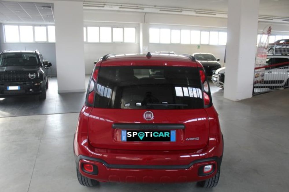 Fiat Panda Cross usata a Terni (5)