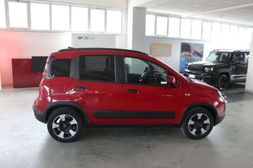 Fiat Panda Cross usata a Terni (6)