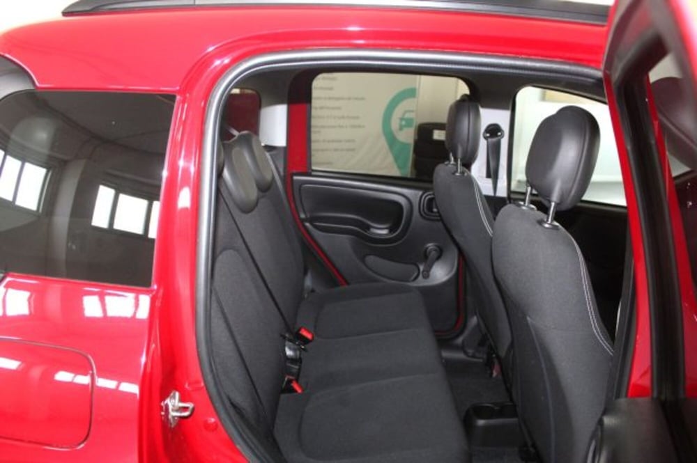 Fiat Panda Cross usata a Terni (9)