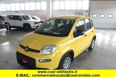 Fiat Panda 1.0 firefly hybrid s&amp;s 70cv 5p.ti nuova a Orvieto