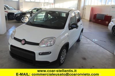 Fiat Panda 1.0 firefly hybrid s&amp;s 70cv 5p.ti del 2024 usata a Orvieto