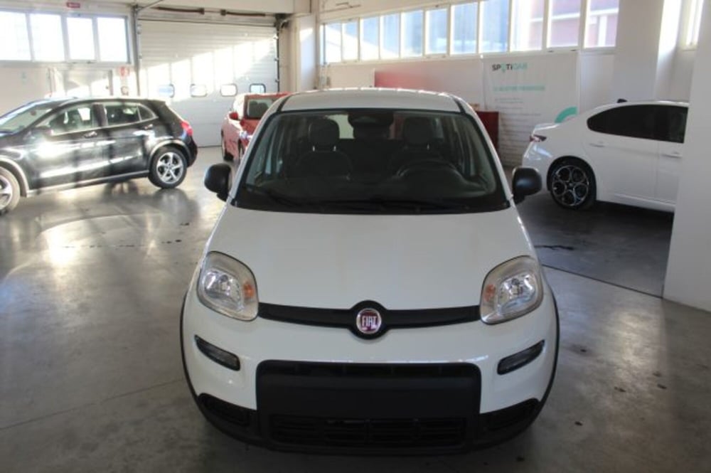Fiat Panda usata a Terni (2)