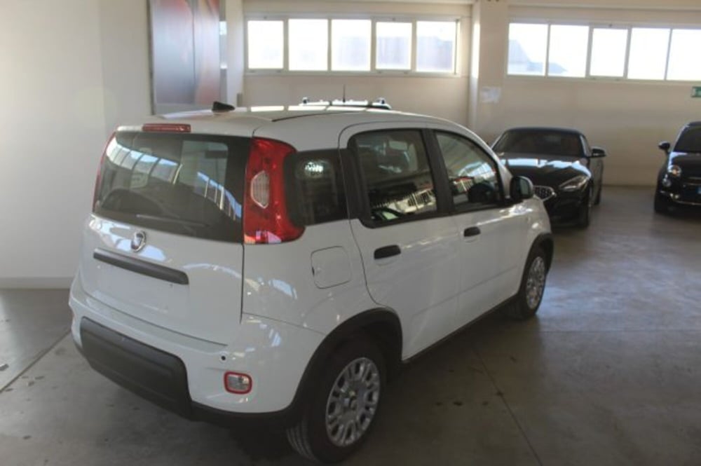 Fiat Panda usata a Terni (4)