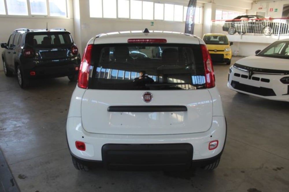 Fiat Panda usata a Terni (5)