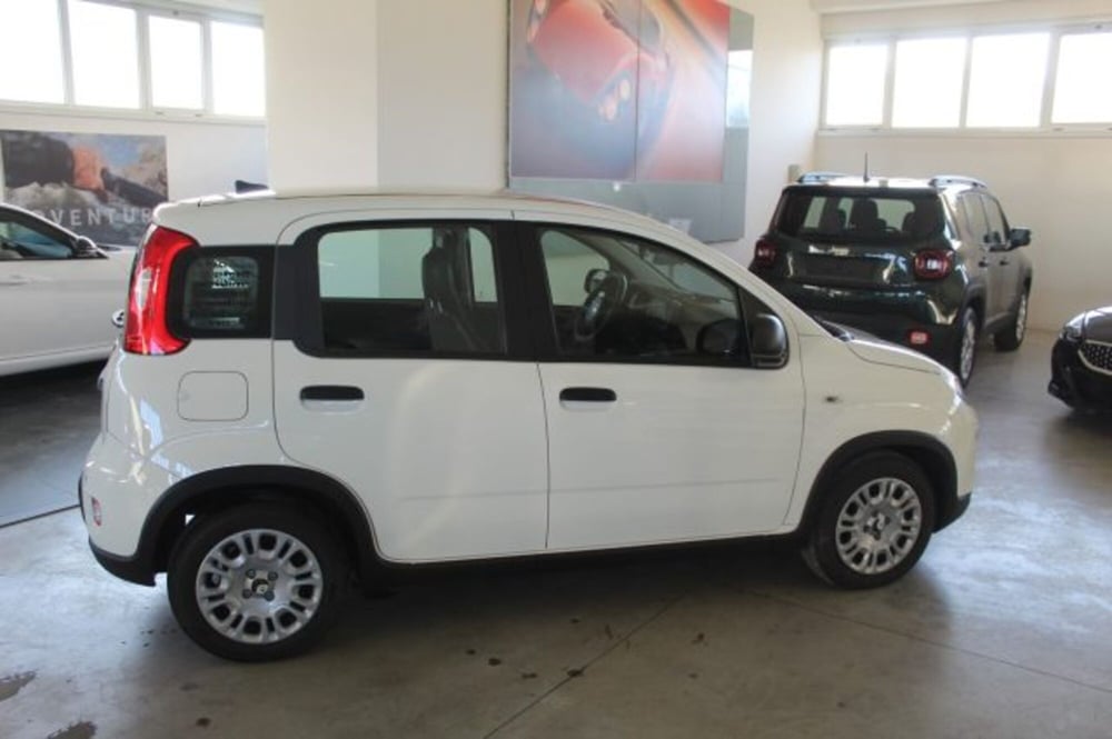 Fiat Panda usata a Terni (6)