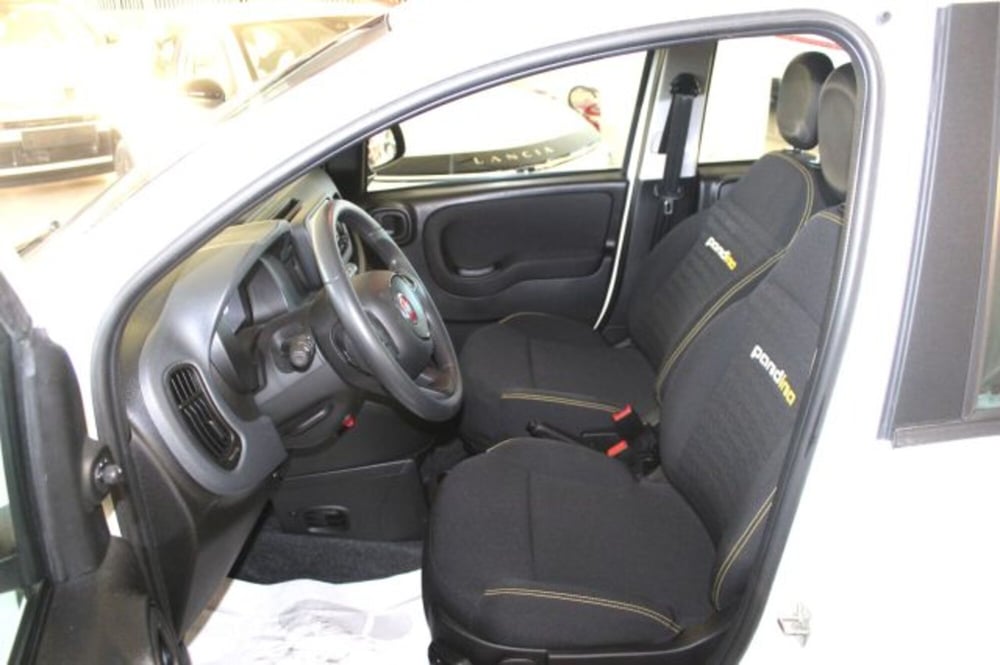 Fiat Panda usata a Terni (7)