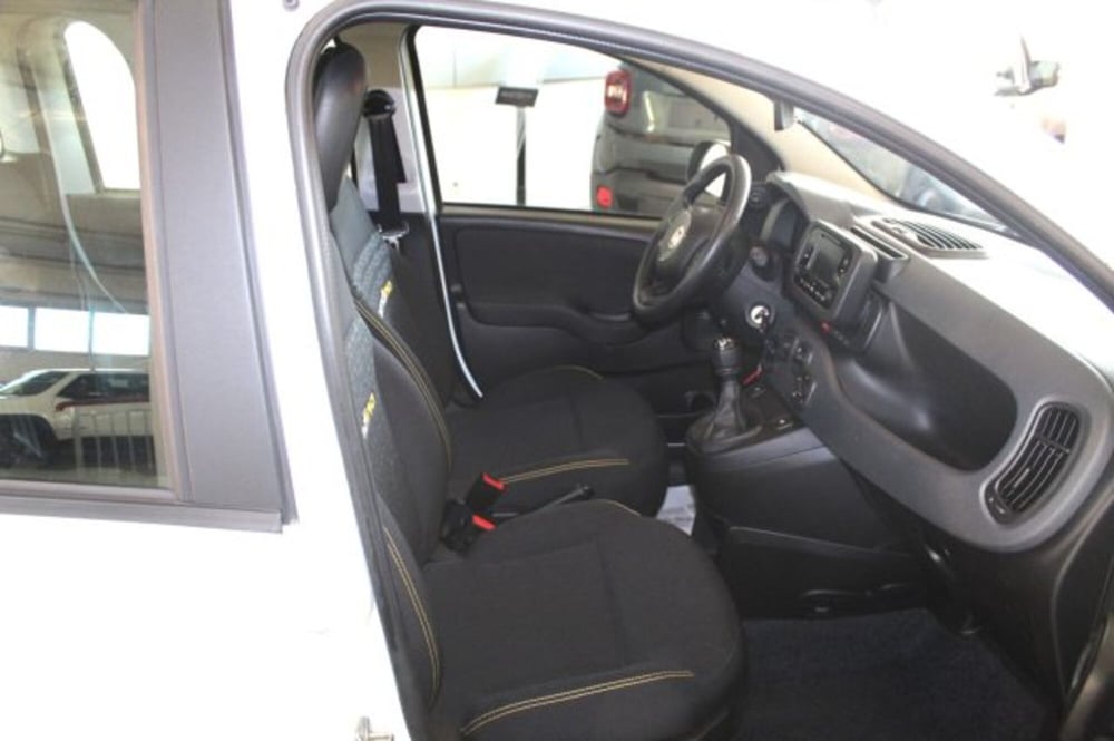 Fiat Panda usata a Terni (8)
