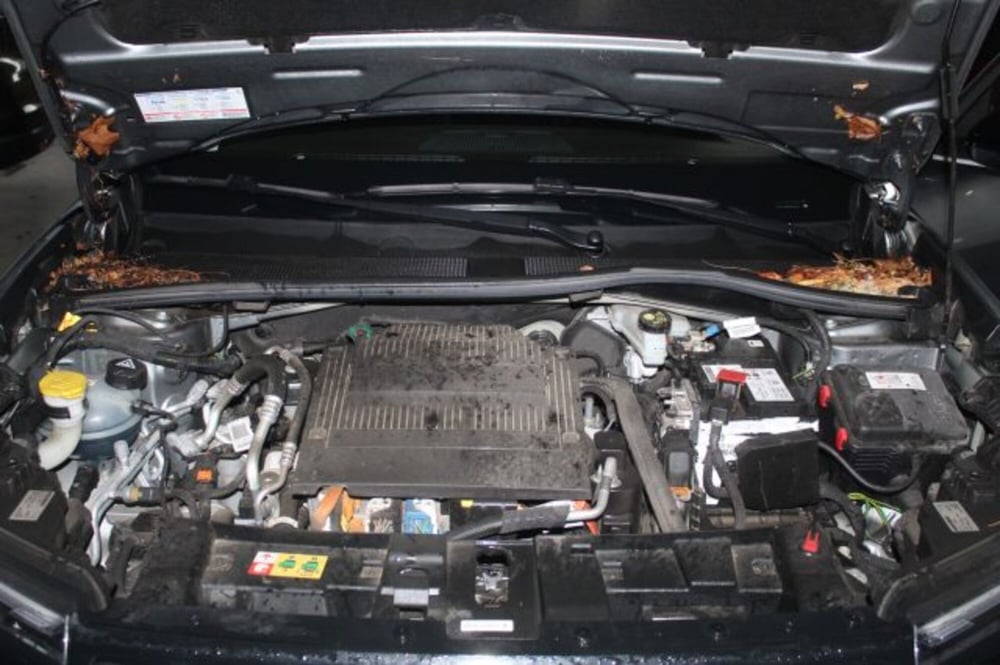 Jeep Avenger usata a Terni (19)