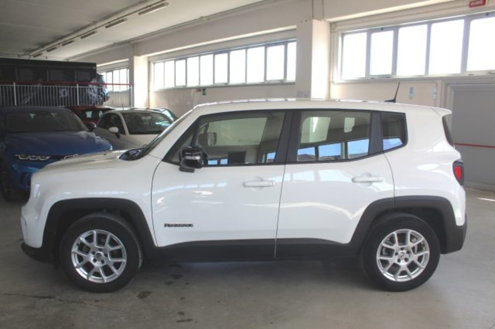 Jeep Renegade usata a Terni (3)
