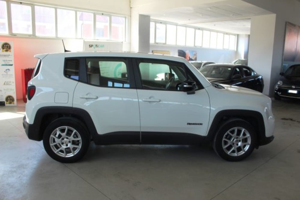 Jeep Renegade usata a Terni (6)