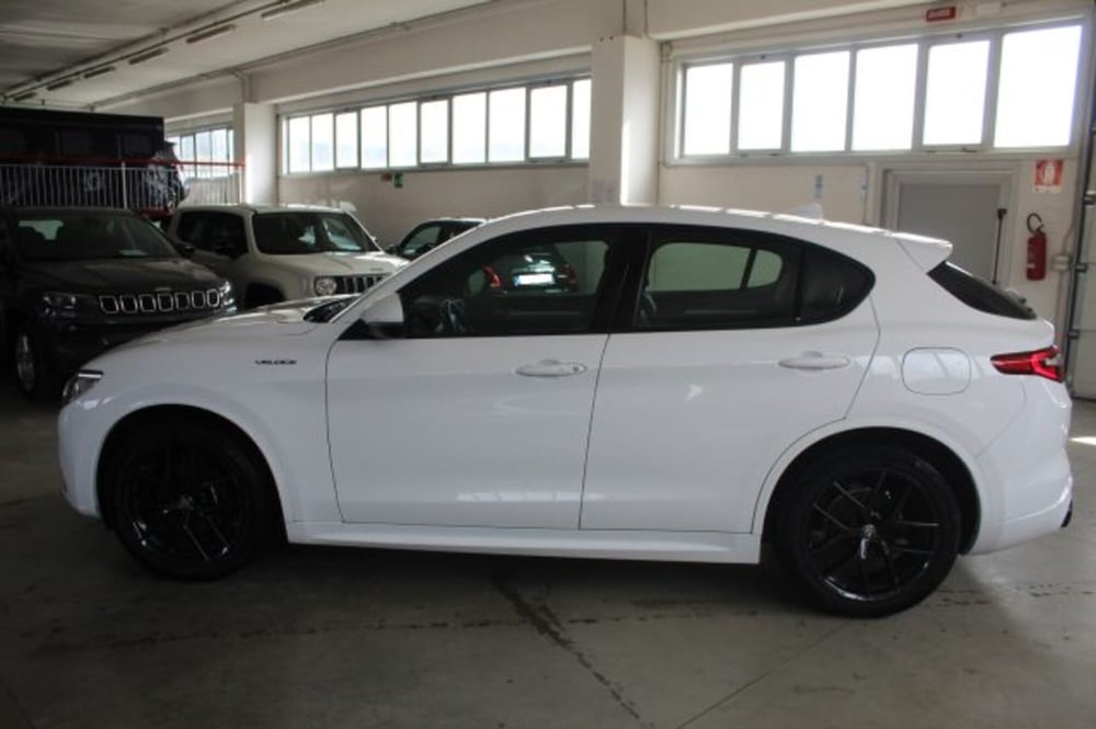 Alfa Romeo Stelvio usata a Terni (3)