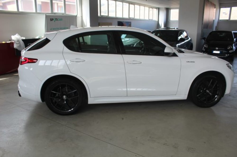 Alfa Romeo Stelvio usata a Terni (6)